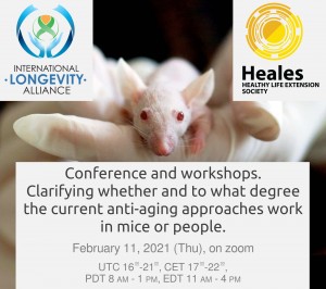 Conference - ILA- HEALES - February 11